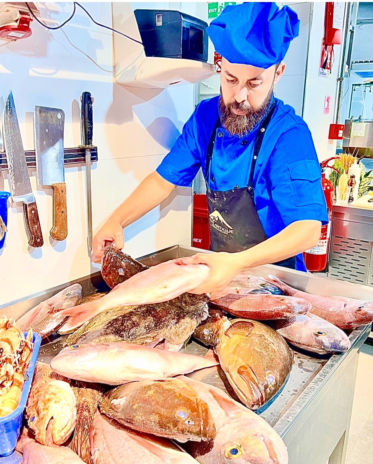 Poissons frais et fruits de mer de la Méditerranée et de l'Atlantique exposés au Restaurant Antartique Tanger.