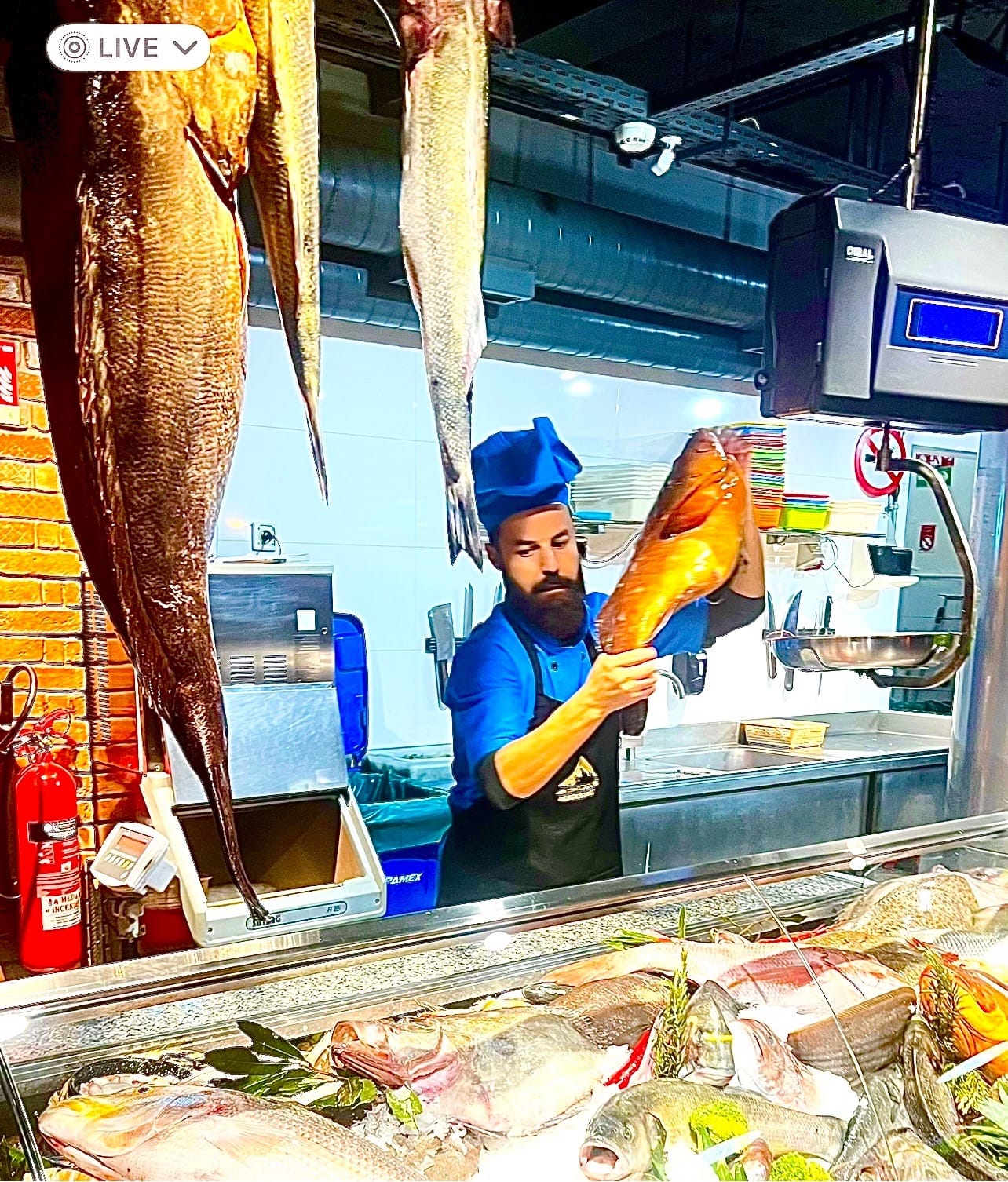 Salades fraîches et équilibrées servies au Restaurant Antartique Tanger.